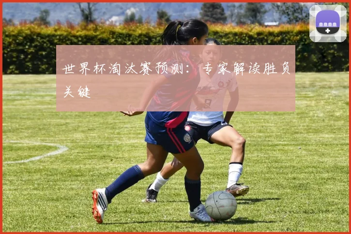 世界杯淘汰赛预测:专家解读胜负关键