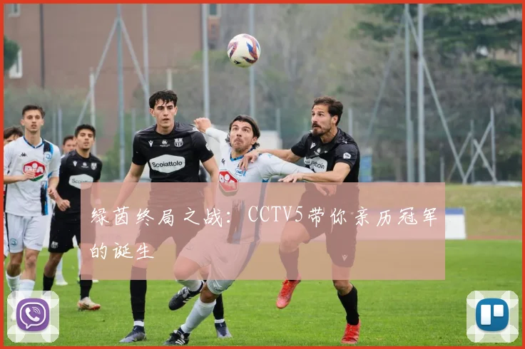 绿茵终局之战:CCTV5带你亲历冠军的诞生