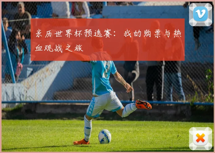 亲历世界杯预选赛：我的购票与热血观战之旅