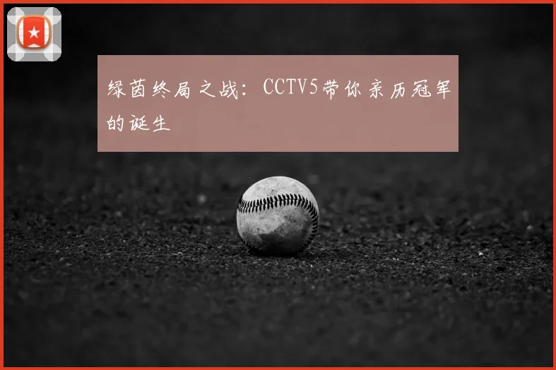 绿茵终局之战:CCTV5带你亲历冠军的诞生